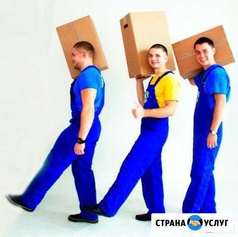 Грузчики,подсобники,землекопы,переезд,вывоз мусора Владимир - изображение 1