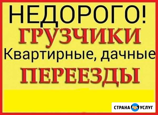 Вывоз мусора, грузчики, переезды Новочеркасск - изображение 1