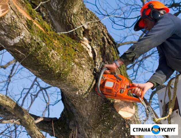 Опиловка, валка, распил деревьев Кимовск - изображение 1