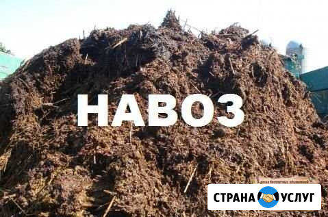 Навоз Кирово-Чепецк - изображение 1