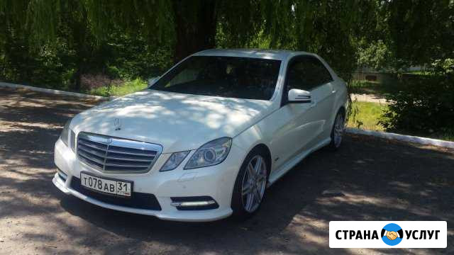 Аренда авто с водителем Кропоткин - изображение 1