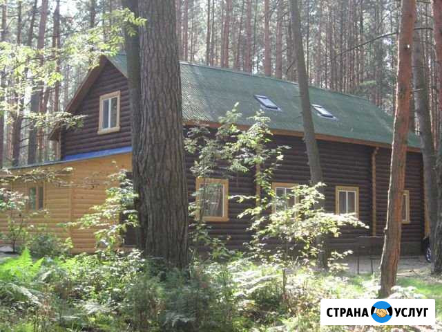 Новогодние праздники в лесу Спас-Клепики - изображение 1
