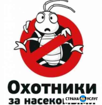 Дезинсекция,истребление клопов,тараканов,клещей Заинск