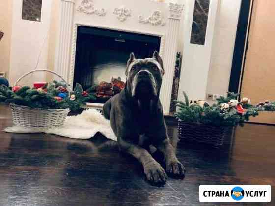 Новогодние подарки Ростов-на-Дону