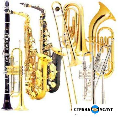Ремонт музыкальных духовых инструментов Пушкино - изображение 1