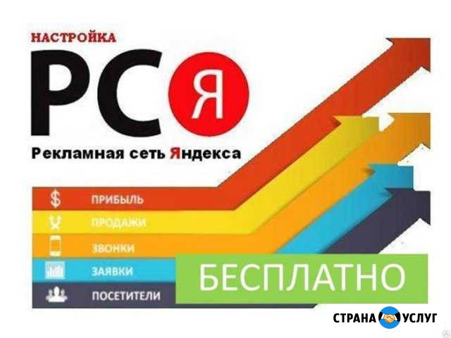 Директолог Каменск-Шахтинский - изображение 1