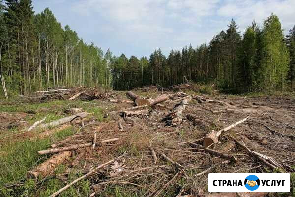 Услуги по вырубке леса дкр лэп Тобольск - изображение 1