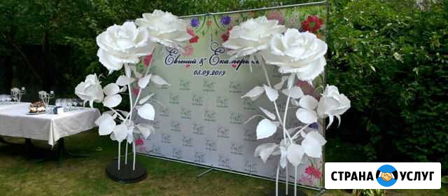 Фотозона Белоснежная Роза Краснодар - изображение 1