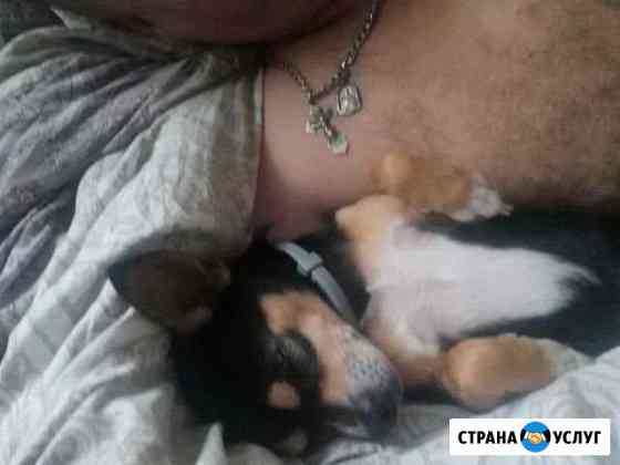 Вязка Нижний Новгород