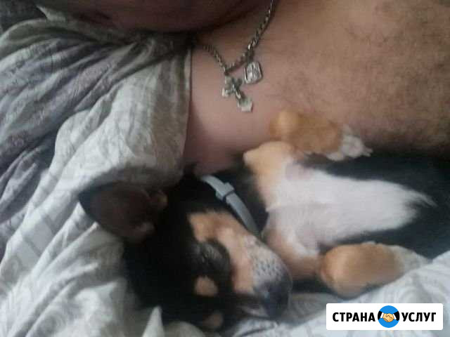 Вязка Нижний Новгород - изображение 1