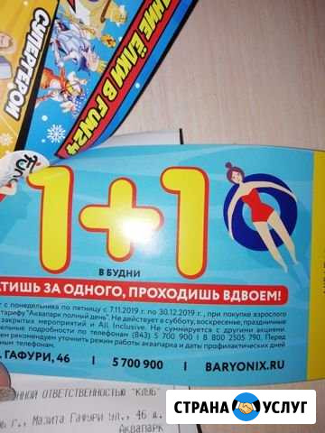 Продаю купон в аквапарк Барионикс Новочебоксарск - изображение 1