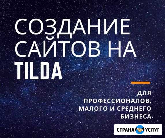 Создание сайтов-визиток на Tilda Смоленск - изображение 1