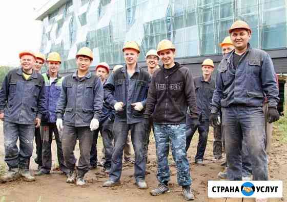 Разнорабочие Мурино