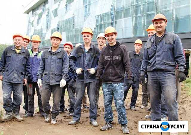 Разнорабочие Мурино - изображение 1