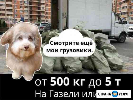 Вывоз строительного мусора Санкт-Петербург