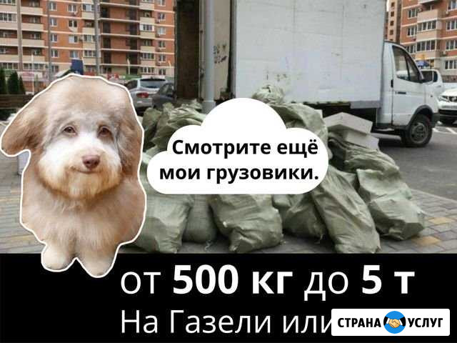 Вывоз строительного мусора Санкт-Петербург - изображение 1