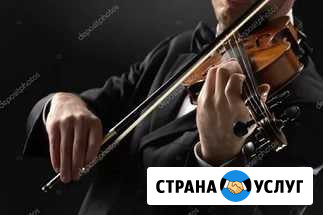 Музыкальное оформление. Живая скрипка Апшеронск - изображение 1