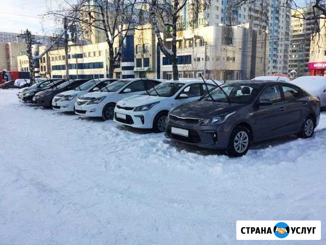 Аренда авто с выкупом Новосибирск - изображение 1