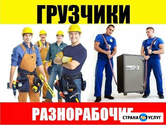 Грузчики.Разнорабочие.Подсобники Волгоград - изображение 1