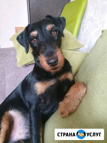 Кабель для вязки Иркутск - изображение 1