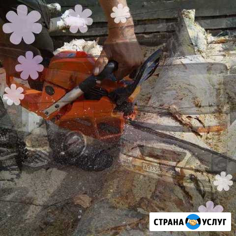 Дрова для дома,дачи и т.д Сергиев Посад - изображение 1