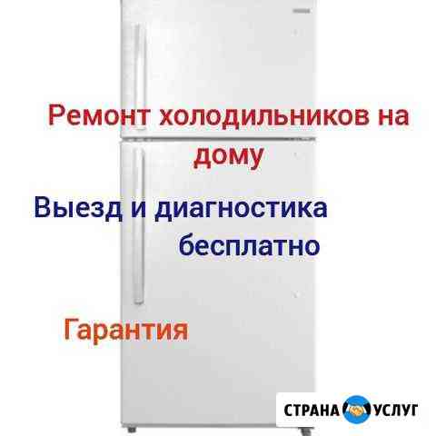 Ремонт холодильников на дому Рузаевка