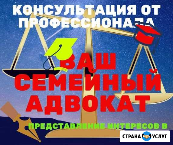 Судебные Семейные Споры.Раздел и Развод.Долги.Дети Домодедово - изображение 1