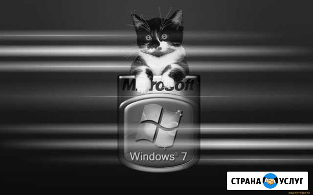 Компьютерная помощь Вологда - изображение 1