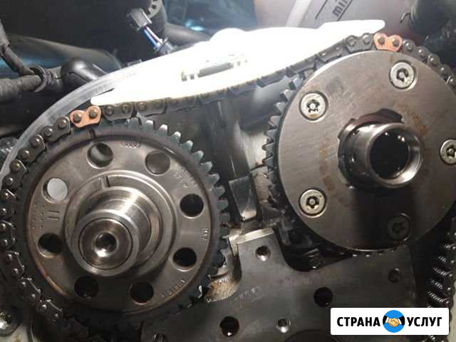 Замена грм 1.4 -2.0 Audi VW Skoda Раменское - изображение 1
