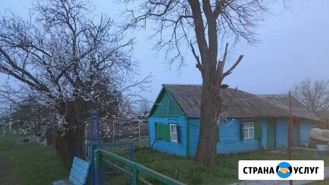 Покос травы, спил деревьев, мотокультивация Кущевская - изображение 1