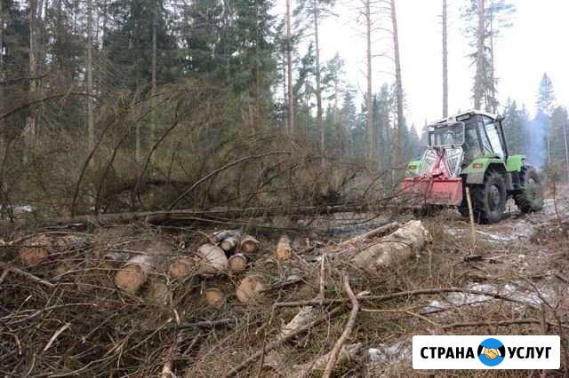 Аренда трелевочных тракторов Москва мо, Регионы Москва - изображение 1