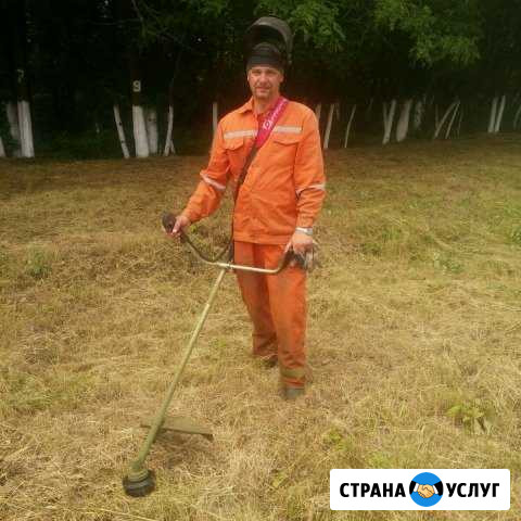 Покос травы, газоны, спил деревьев Кропоткин - изображение 1