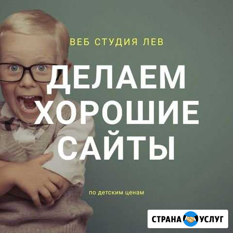 Создание сайтов / настройка рекламы Волгоград - изображение 1