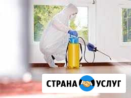 Уничтожение тараканов,клопов, плесени крыс, мышей Орехово-Зуево - изображение 1