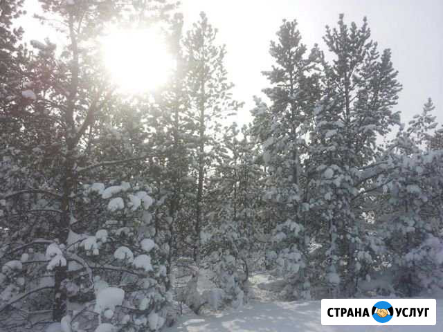Катание-сафари на снегоходе Молочный - изображение 1