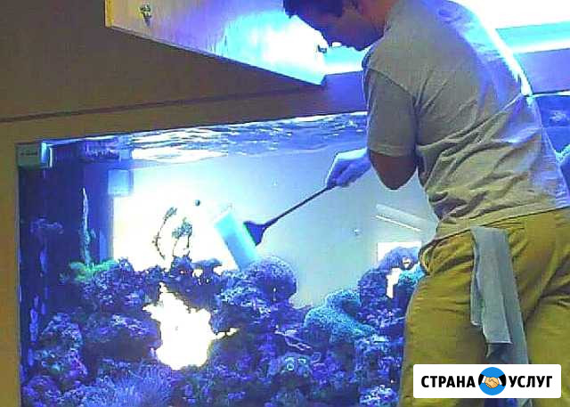 Обслуживание аквариумов Ижевск - изображение 1