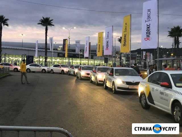 Аренда авто для такси Шкода октавия Сочи - изображение 1