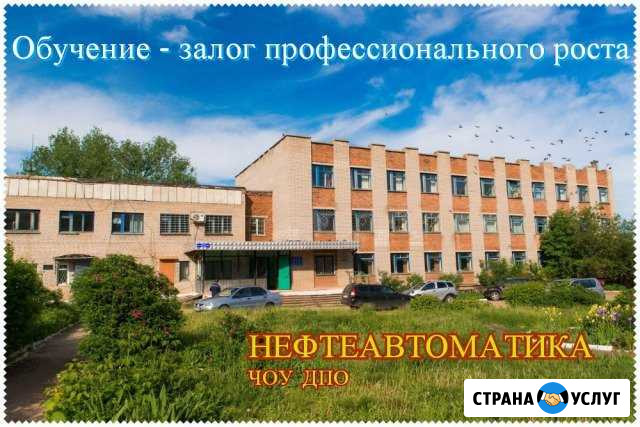 Обучение и повышение квалификации Бугульма - изображение 1