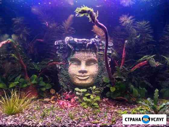 Чистка, обслуживание и оформление аквариумов Москва