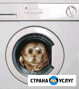 Ремонт Стиральных Машин-Автомат Дивное - изображение 1