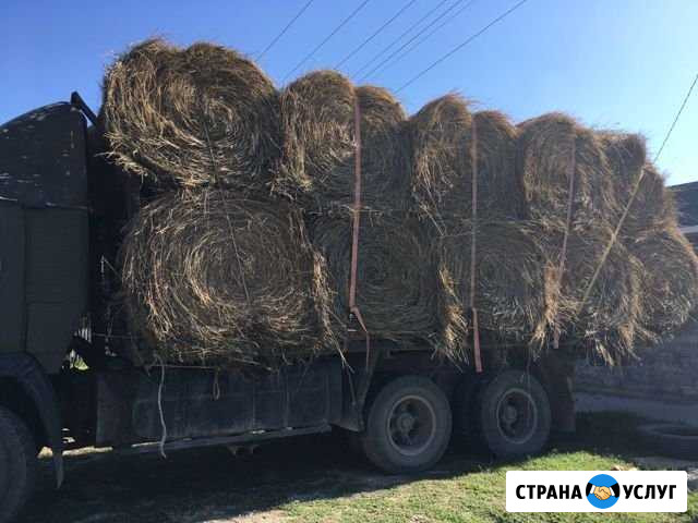 Перевозка сена Усть-Джегута - изображение 1
