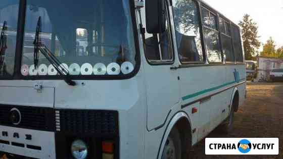 Автобусы Паз, Мерседес Пермь