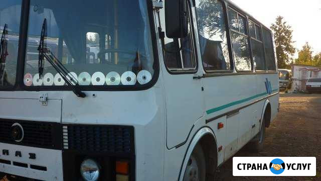Автобусы Паз, Мерседес Пермь - изображение 1