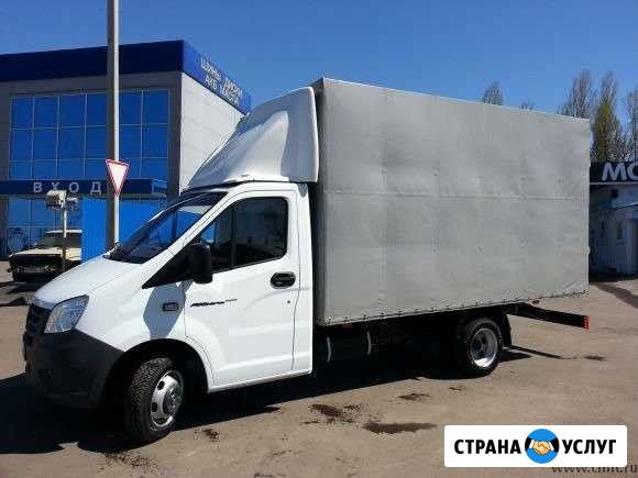 Газель Владимир - изображение 1