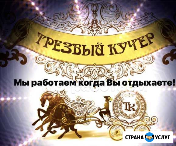 Трезвый Водитель Щербинка - изображение 1