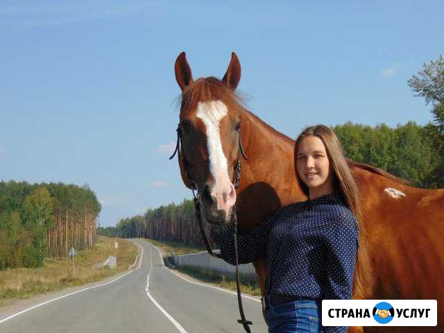 Фотосессии с лошадьми Нижний Тагил - изображение 1
