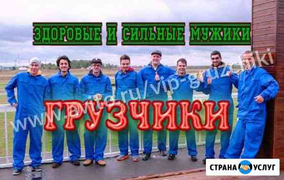 Грузчики Белгород