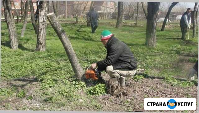 Разнорабочие Химки - изображение 1