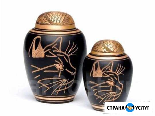 Ритуальные услуги для животных Хабаровск - изображение 1