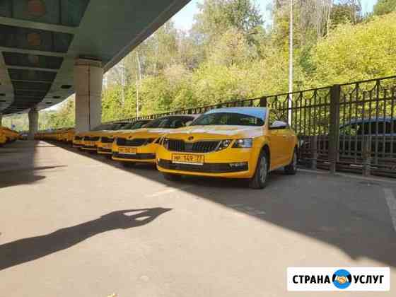 Аренда авто под такси Kia Optima и Skoda Octavia Москва